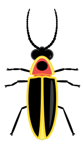 Firefly graphic with wings closed