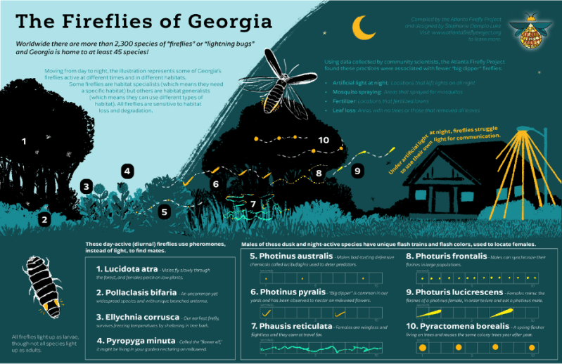 Fireflies of Georgia Poster