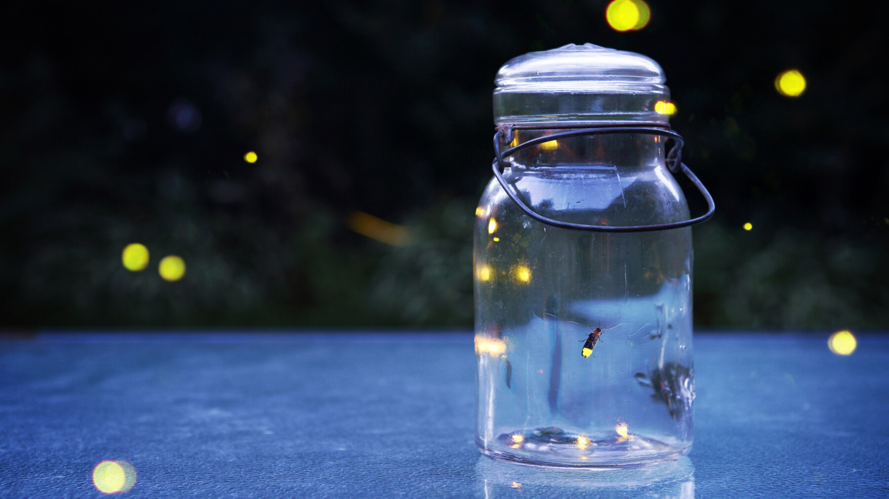 Fireflies