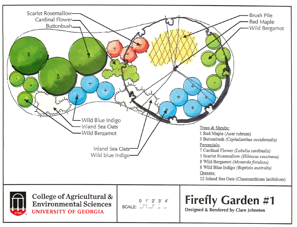 Landscape drawing of a firefly garden for a wet garden spot