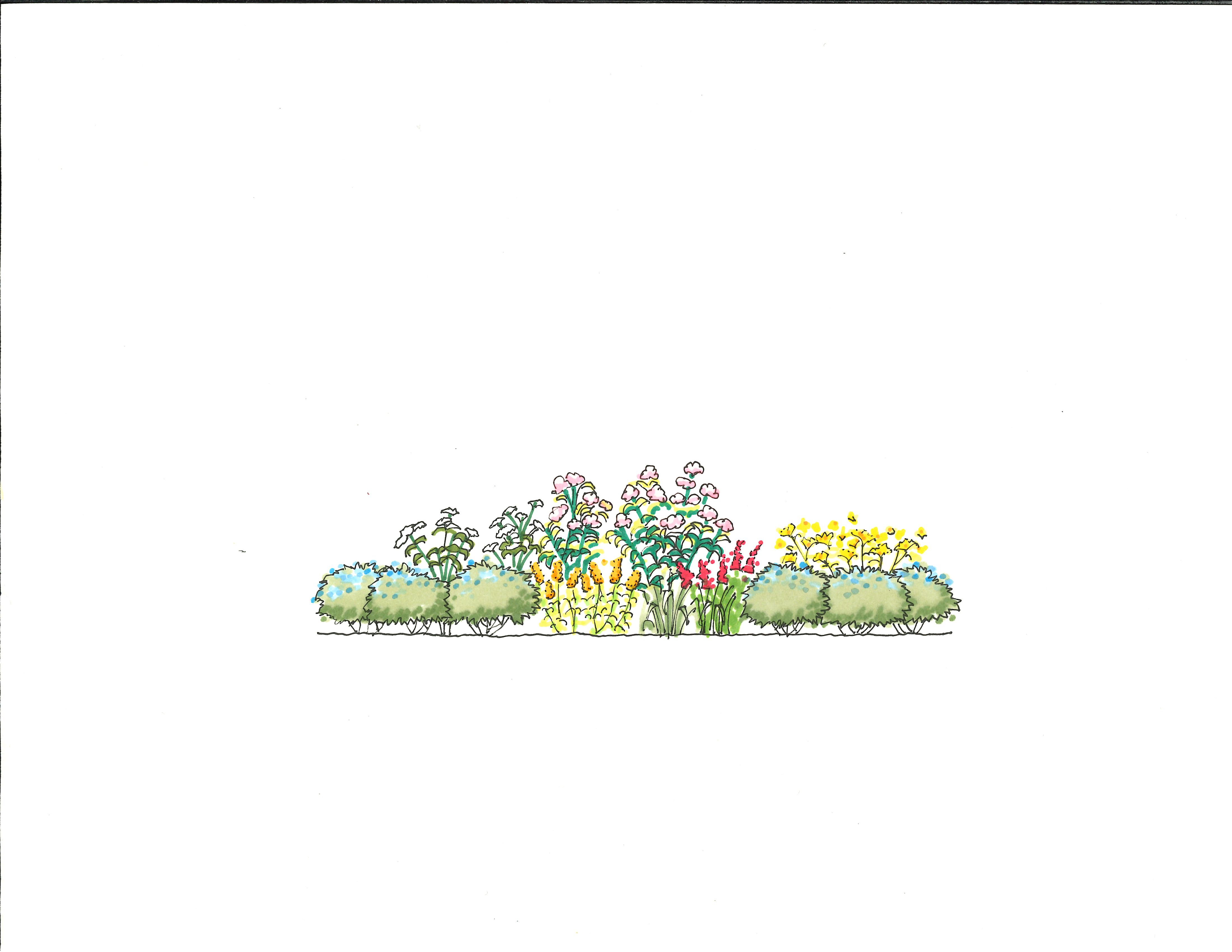 Elevation drawing of garden #4